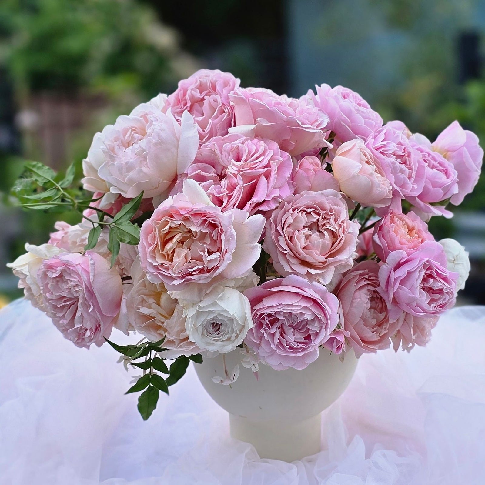 Le Jardin Garden Roses