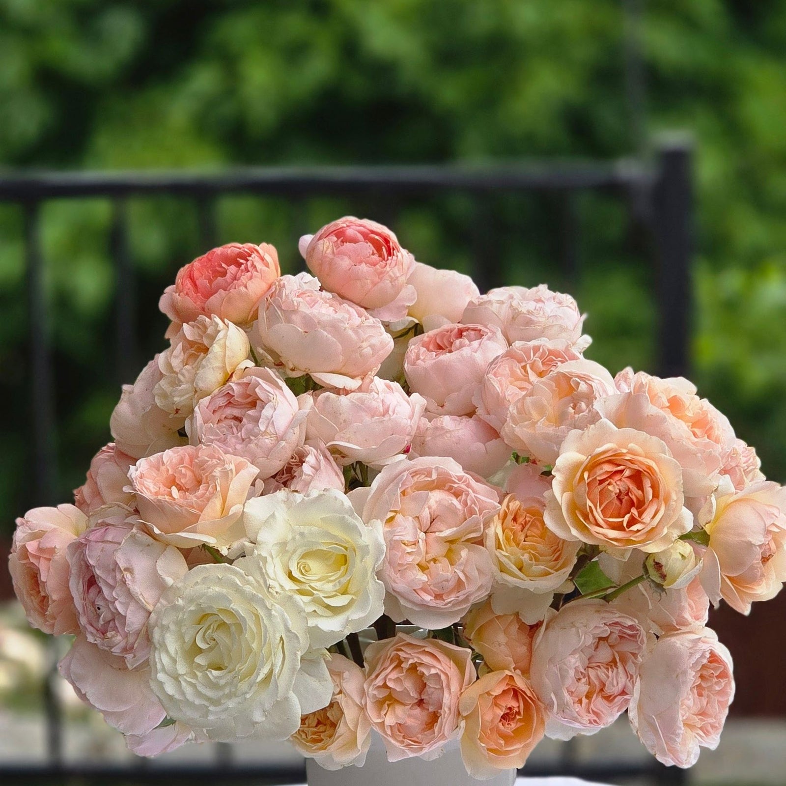 Roses