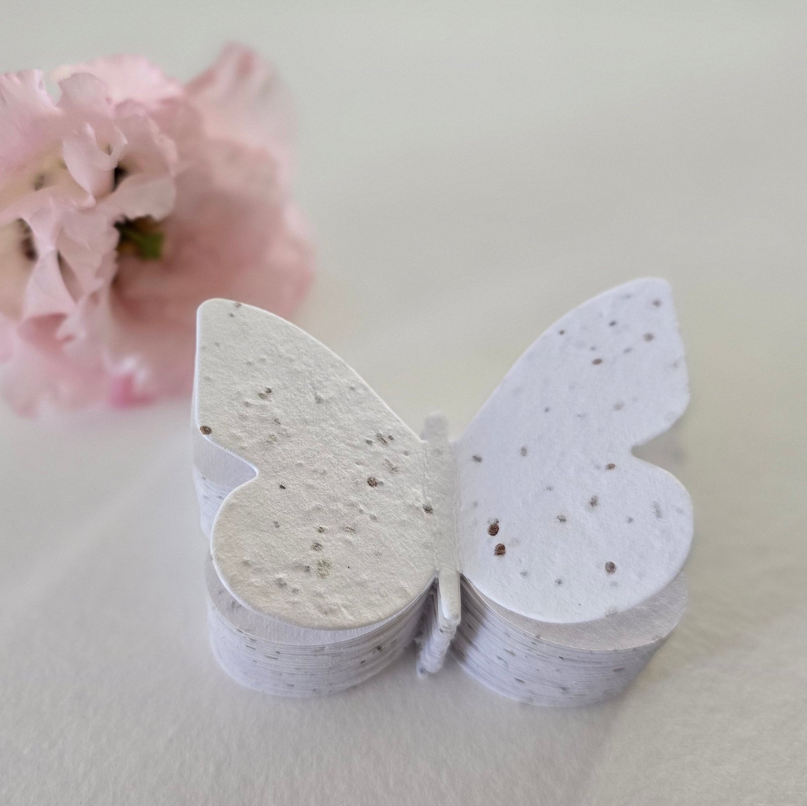 Plantable Butterfly