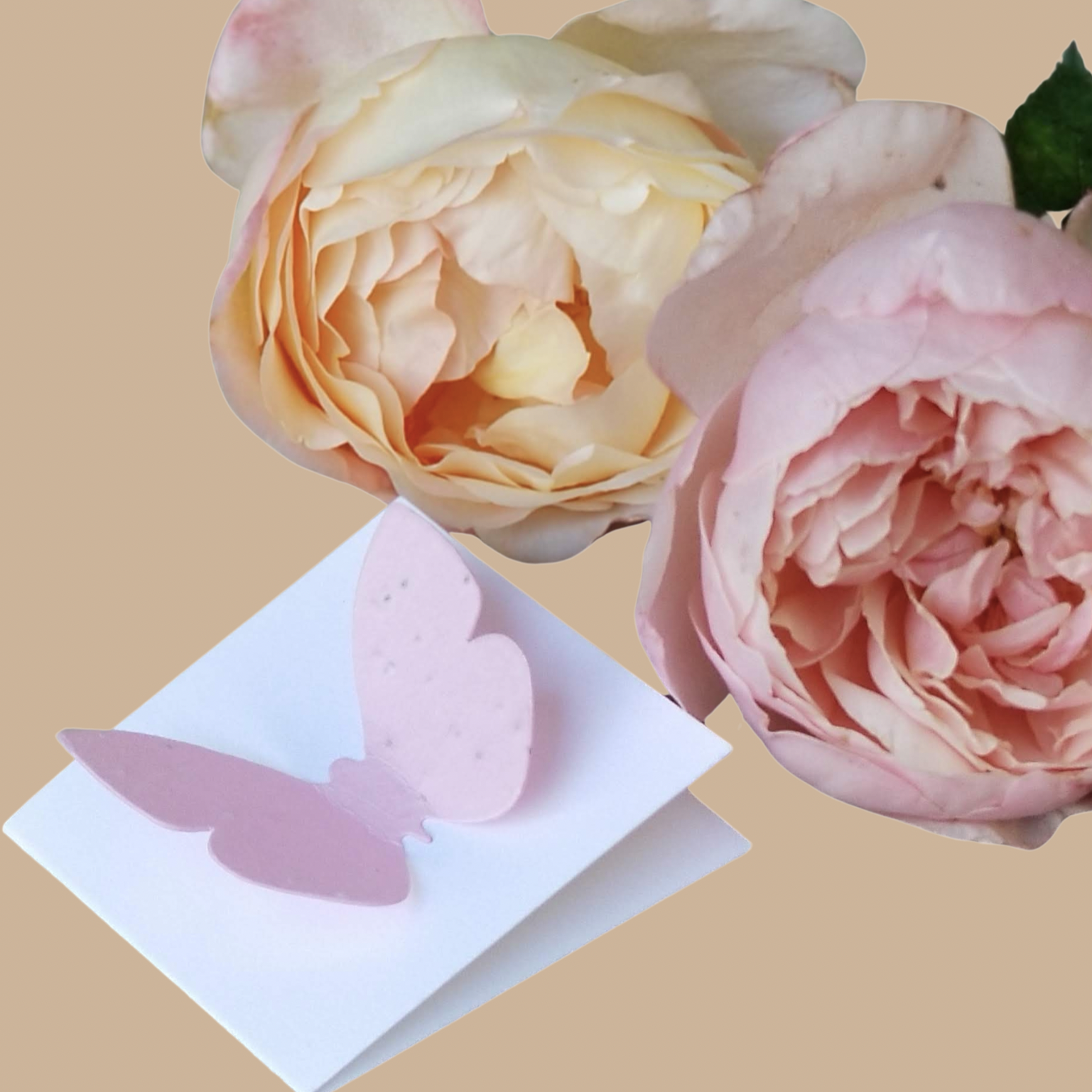 2” Mini folded card