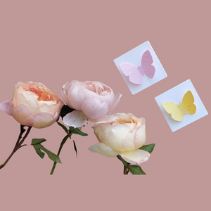 2” Mini folded card