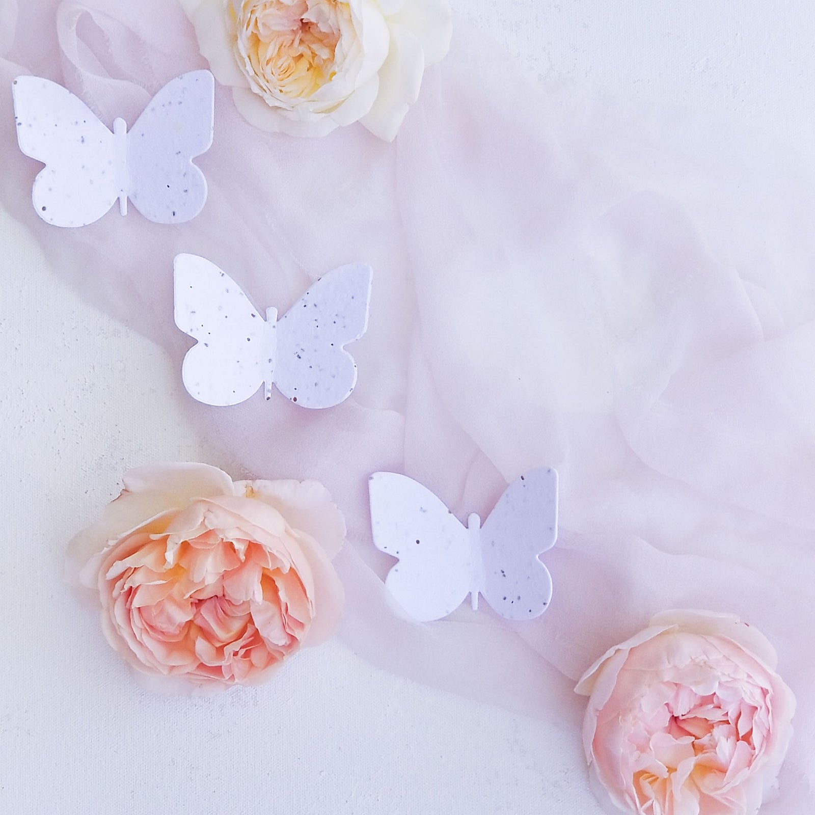 Set of 25 Plantable Butterfly