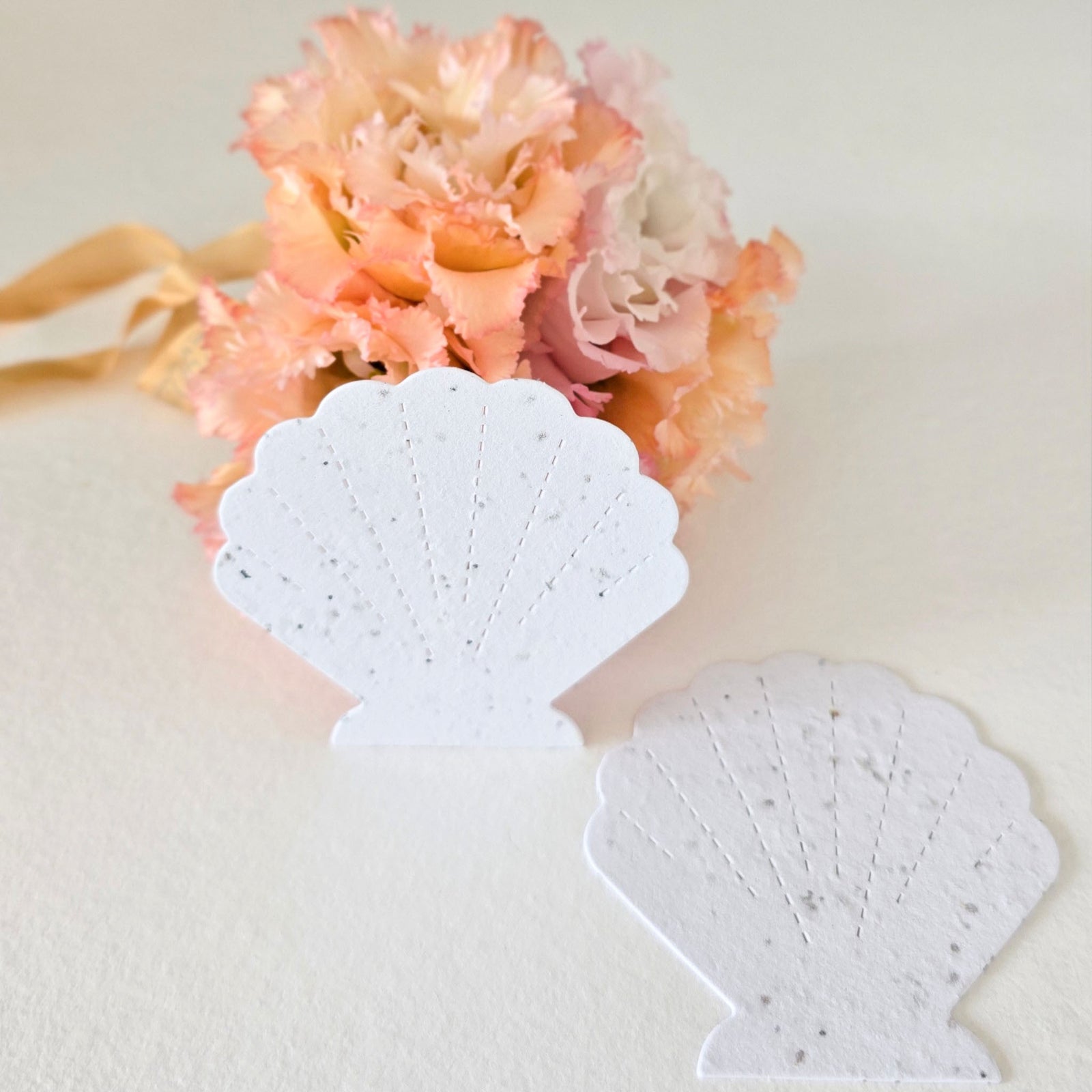 Set of 25 Plantable Seashells